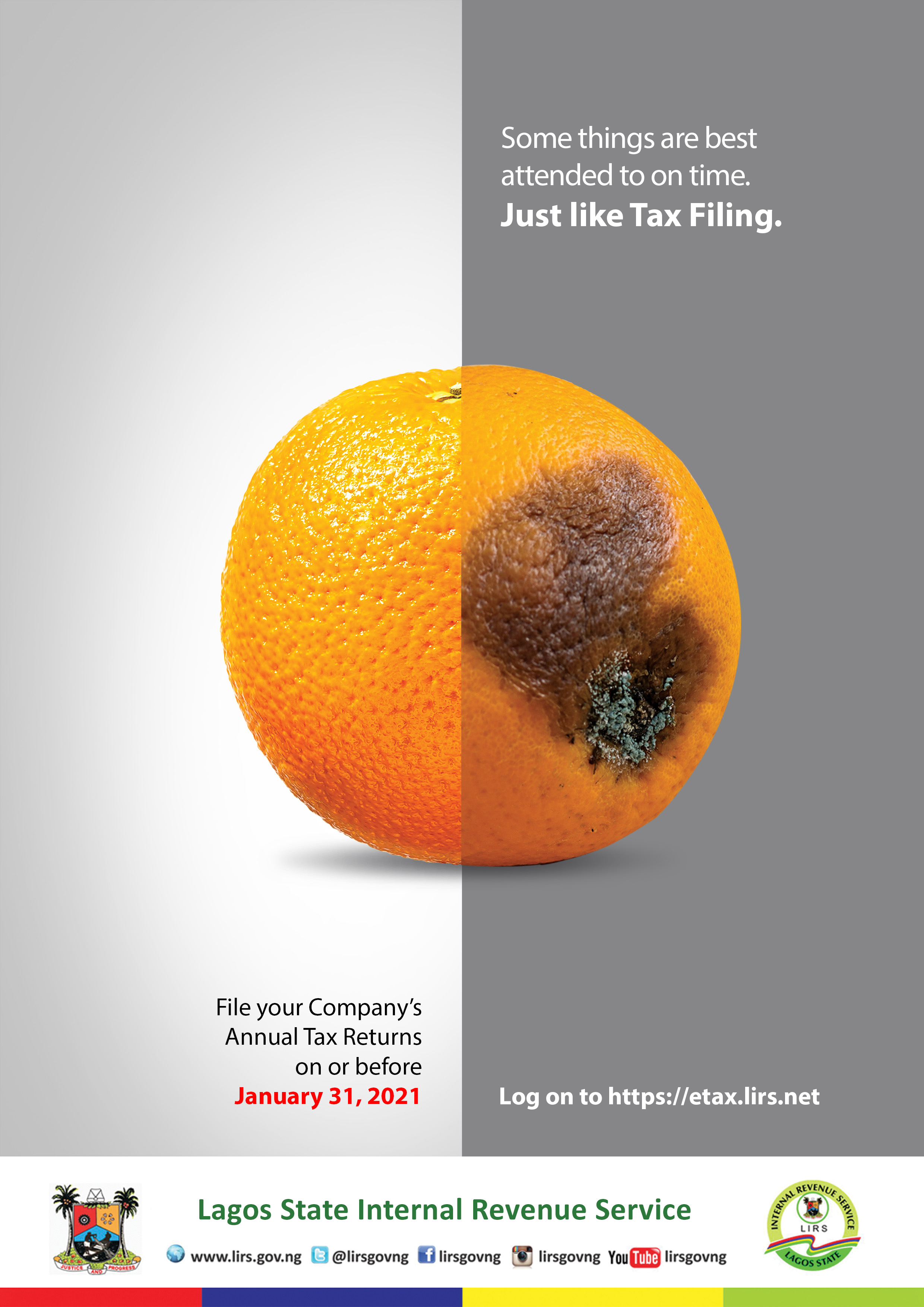Tax Filing - Image 2